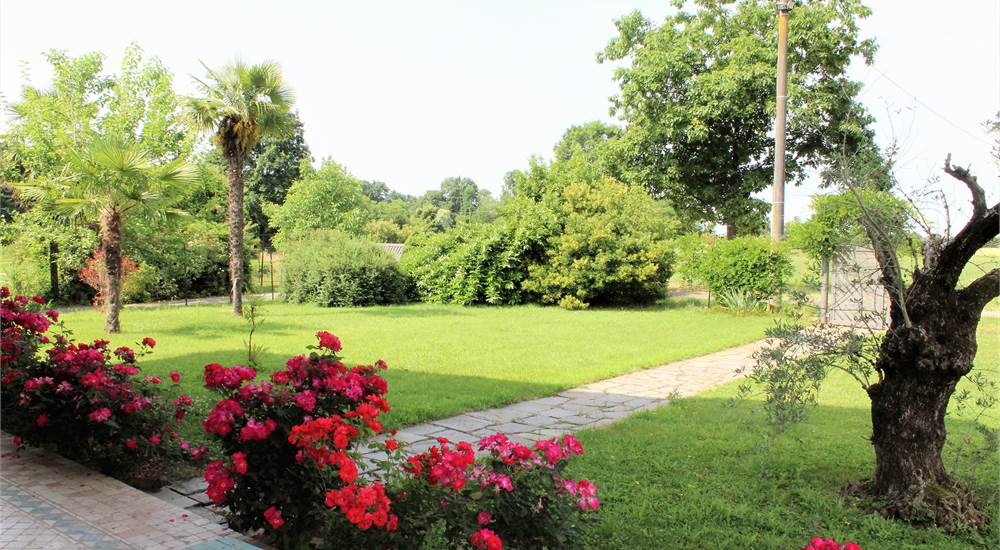 Giardino